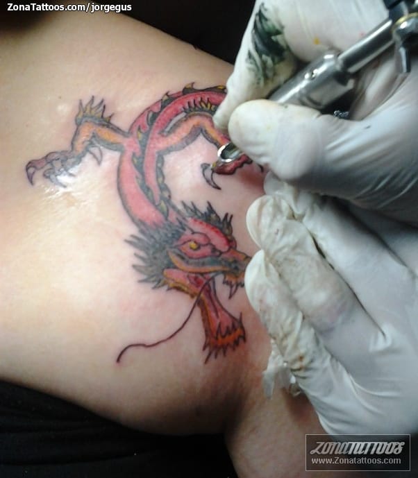 Foto de tatuaje Dragones