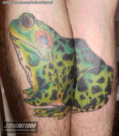 Tattoo photo Frogs, Animals