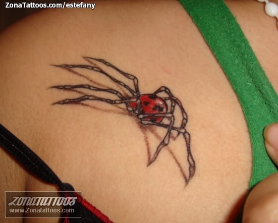 Foto de tatuaje Arañas, Insectos