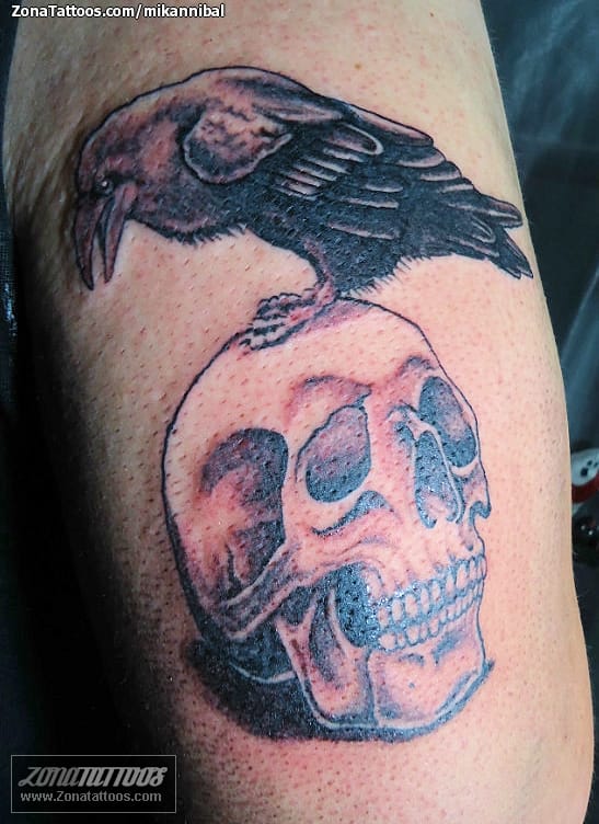 Foto de tatuaje Cuervos, Aves, Calaveras