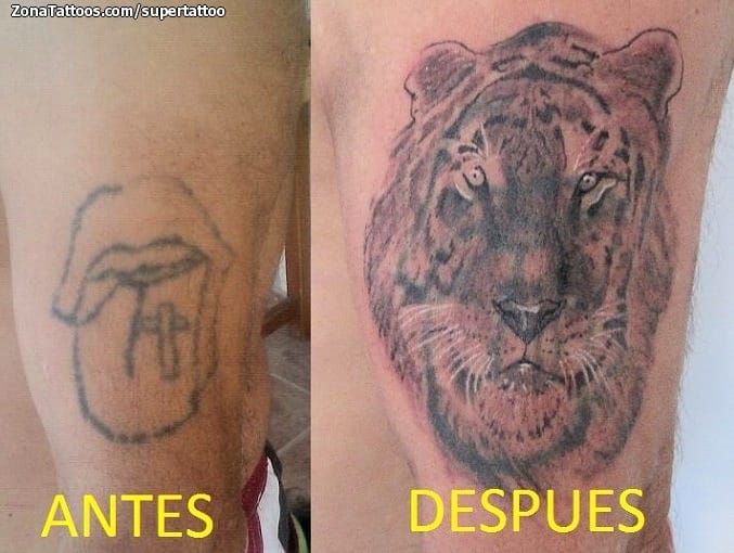 Foto de tatuaje Cover Up, Tigres, Animales