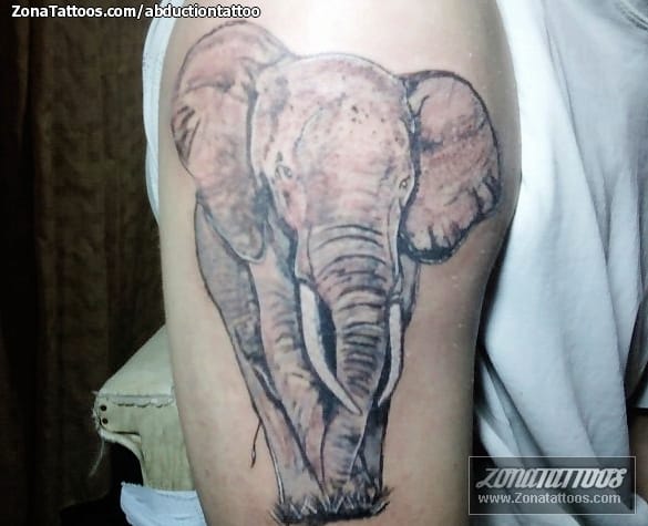 Tattoo photo Elephants, Animals