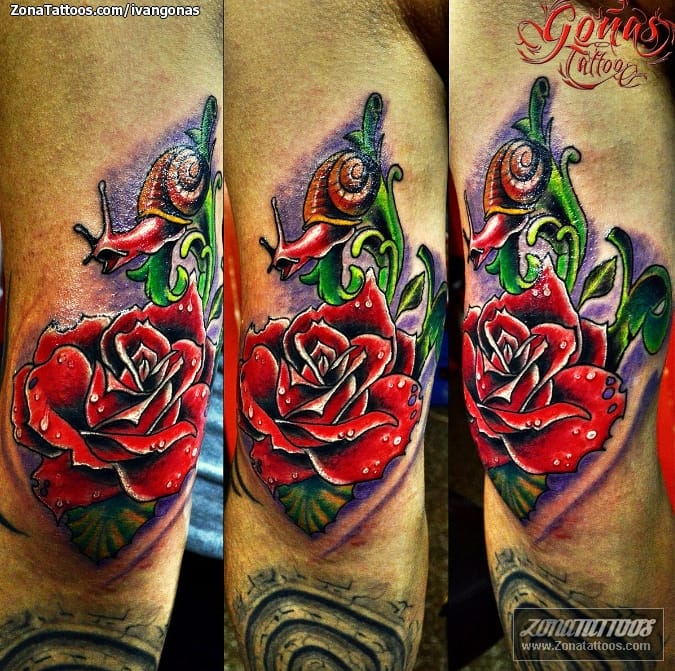 Tattoo photo Roses, Flowers, Snails