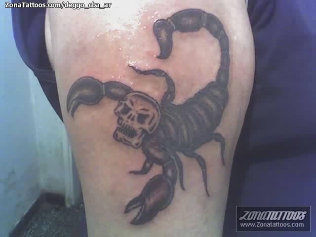 Foto de tatuaje Calaveras, Insectos, Escorpiones