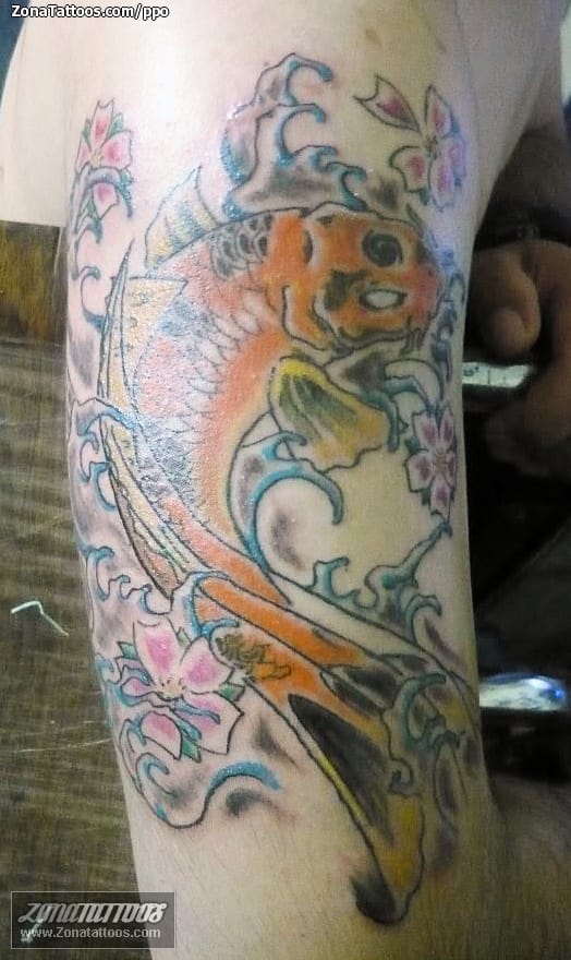 Tattoo photo Koi, Asian, Fish