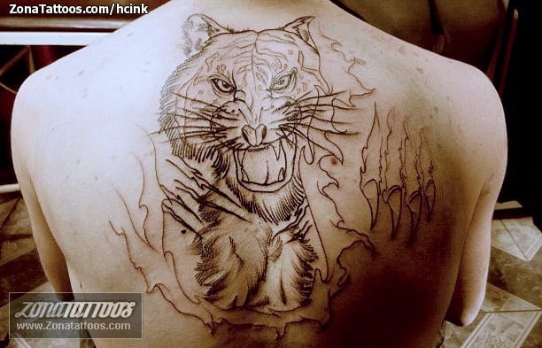 Tattoo photo Animals, Back, Tigers