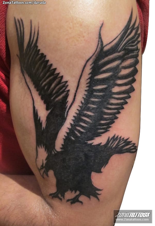 Foto de tatuaje Águilas, Aves, Animales