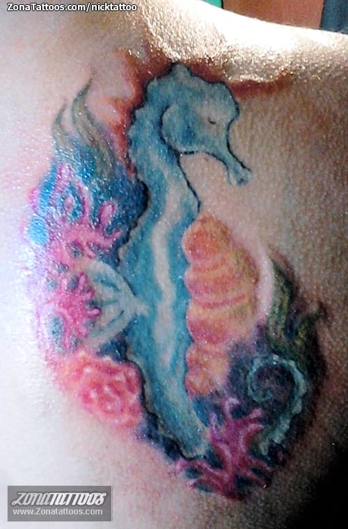 Tattoo photo Seahorses, Animals