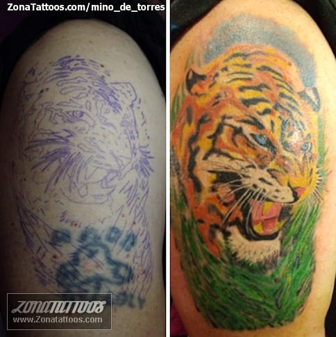 Tattoo photo Tigers, Animals