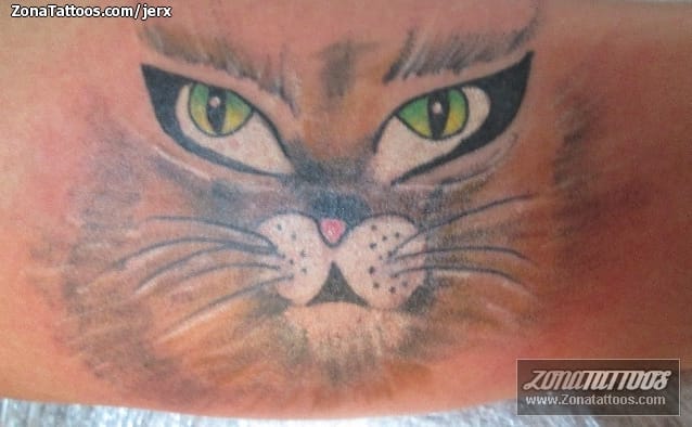 Foto de tatuaje Animales, Gatos