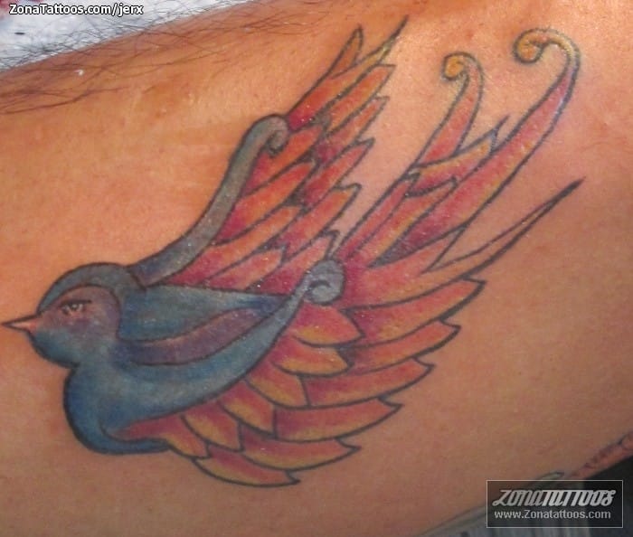 Foto de tatuaje Animales, Aves, Golondrinas