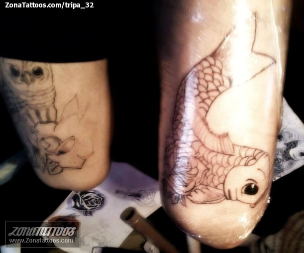 Tattoo photo Fish, Koi, Animals