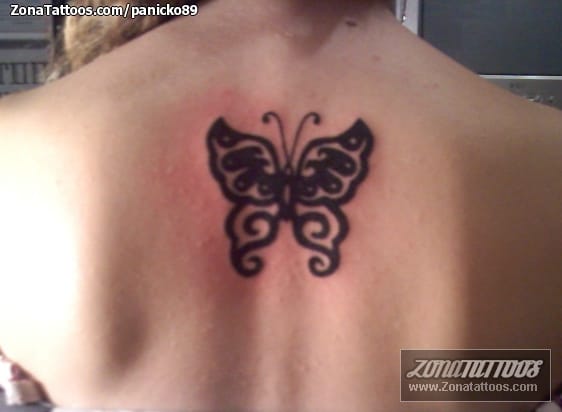 Foto de tatuaje Mariposas, Insectos