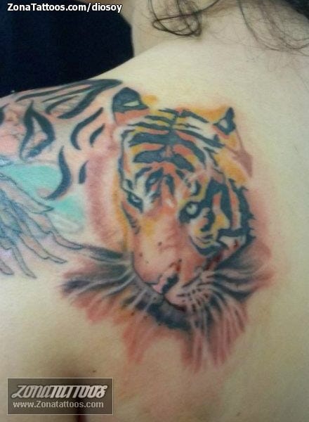 Foto de tatuaje Tigres, Animales