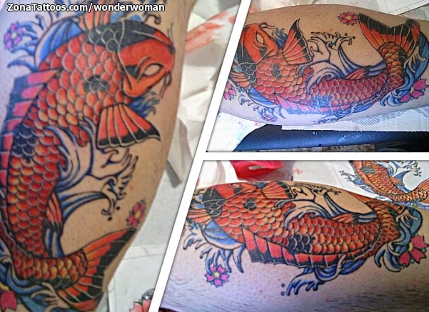 Tattoo photo Koi, Fish, Asian