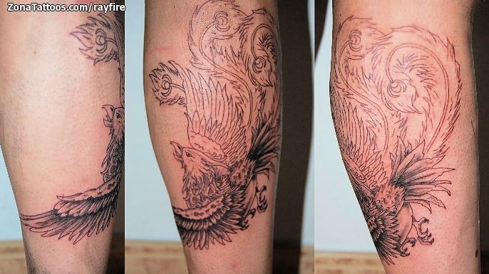 Foto de tatuaje Ave Fénix, Fantasía