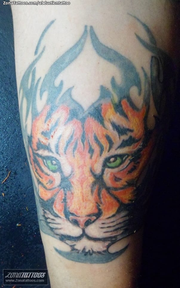 Tattoo photo Tigers, Animals