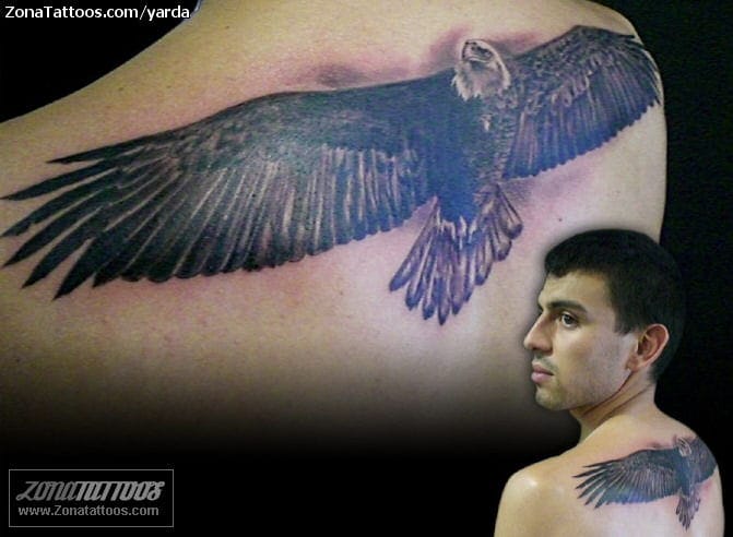 Tattoo photo Animals, Birds, Eagles