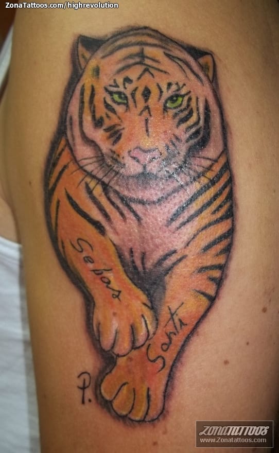 Foto de tatuaje Tigres, Animales