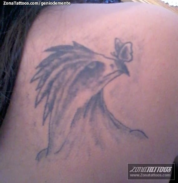 Foto de tatuaje Animales, Aves, Águilas