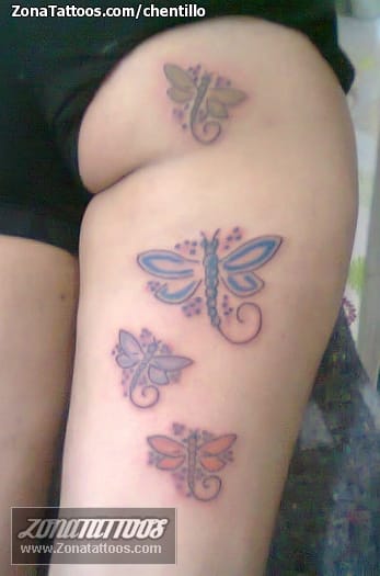 Tattoo photo Dragonflies, Insects