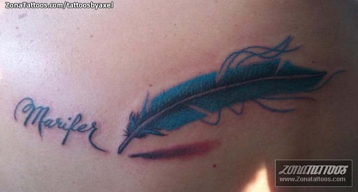 Foto de tatuaje Plumas