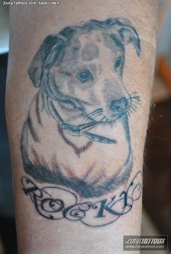 Tattoo photo Dogs, Animals