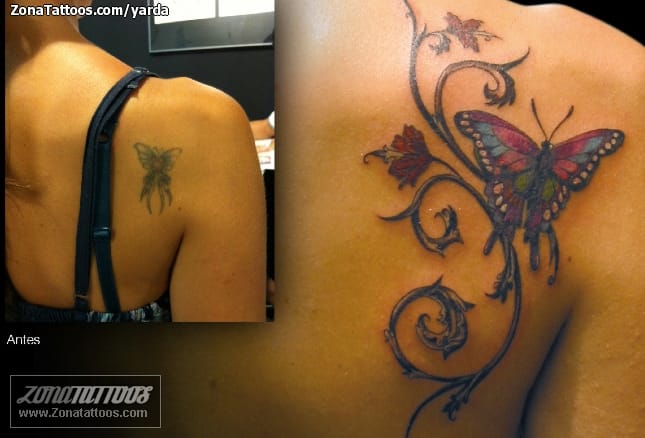 Foto de tatuaje Cover Up, Mariposas, Enredaderas