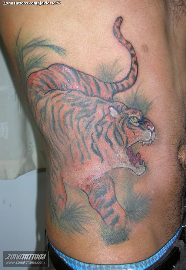 Tattoo photo Tigers, Animals