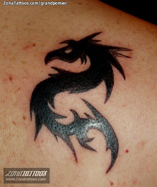 Foto de tatuaje Dragones, Fantasía, Tribales