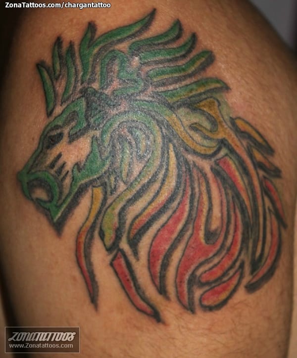 Tattoo of Lions, Tribal, Rasta