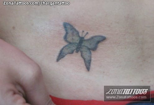 Foto de tatuaje Mariposas, Insectos