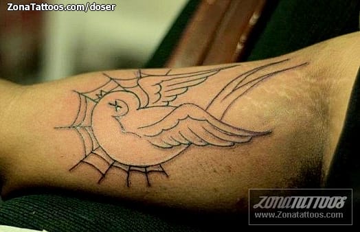 Foto de tatuaje Animales, Aves, Golondrinas