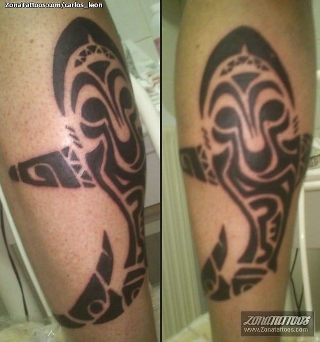 Tattoo photo Maori, Animals, Orcas