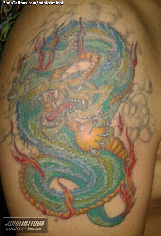 Tattoo photo Dragons, Asian