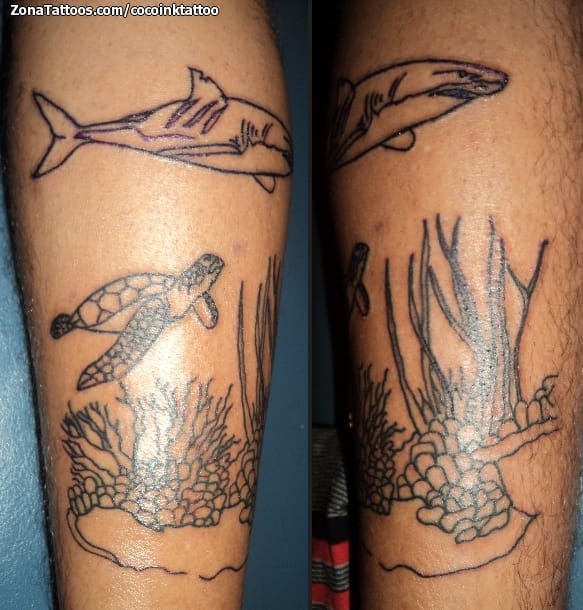 Foto de tatuaje Peces, Tortugas, Animales