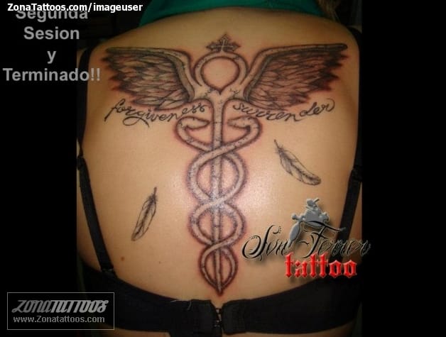 Tattoo photo Wings, Feathers, Caduceus