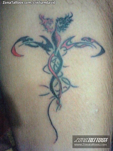 Foto de tatuaje Tribales, Dragones, Alas