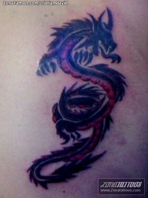 Foto de tatuaje Dragones, Animales, Fantasía