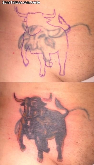 Tattoo photo Cover Up, Bulls, Animals