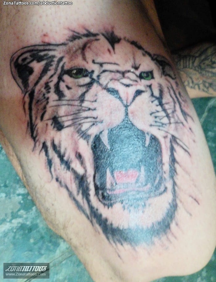 Foto de tatuaje Tigres, Animales