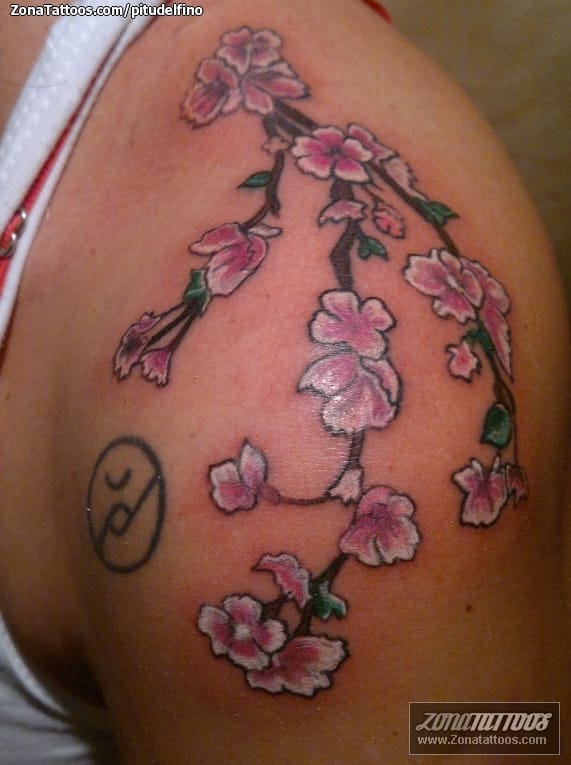 Tattoo photo Flowers, Cherry blossoms, Shoulder