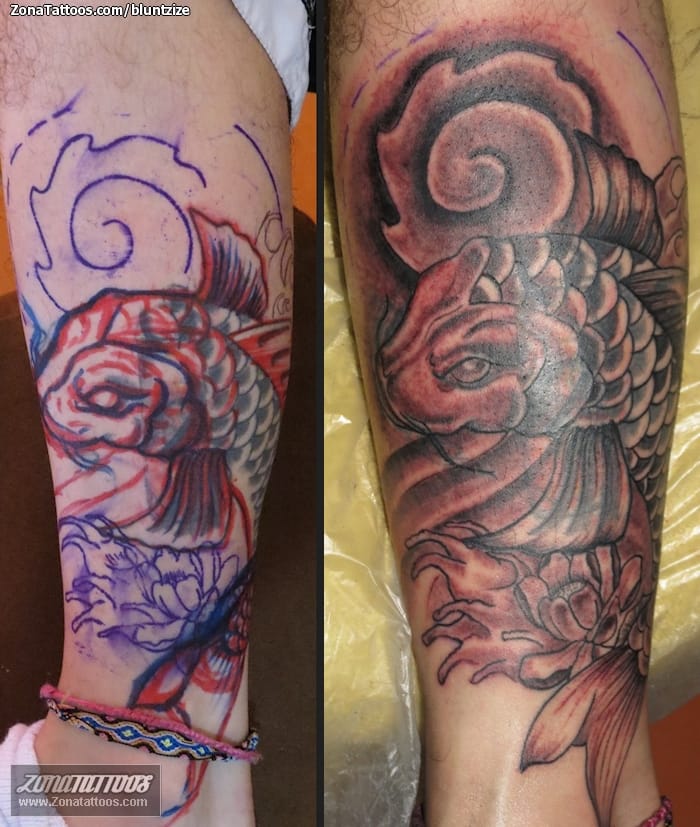 Foto de tatuaje Cover Up, Koi, Peces