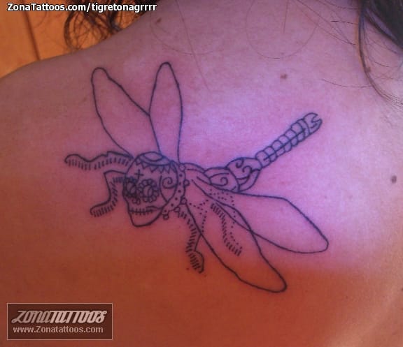 Tattoo photo Dragonflies, Skulls, Insects