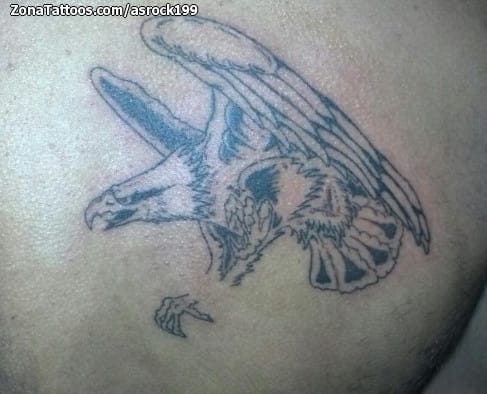 Foto de tatuaje Águilas, Aves, Animales