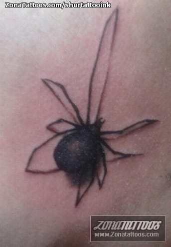 Foto de tatuaje Insectos, Arañas