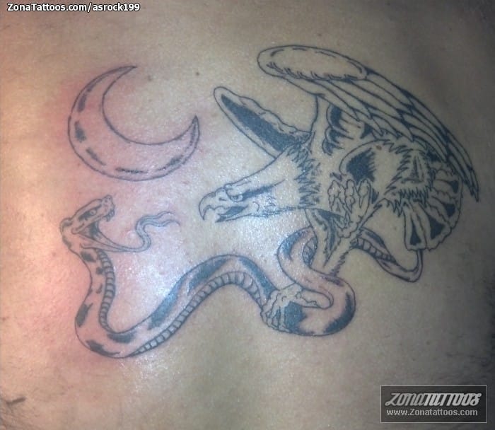 Tattoo photo Eagles, Snakes, Animals