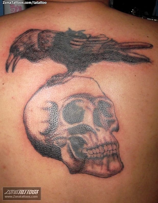 Foto de tatuaje Calaveras, Cuervos, Aves
