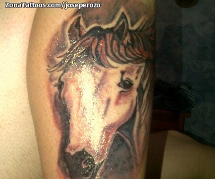 Foto de tatuaje Animales, Caballos