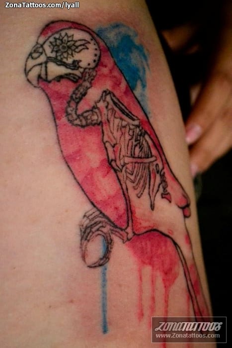 Tattoo photo Animals, Birds, Skeletons